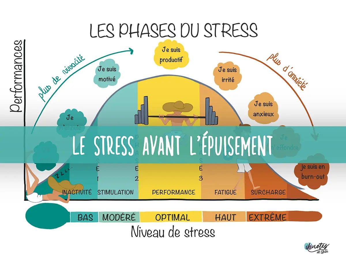 Infographie montrant la courbe des différentes phases du stress et son impact sur la performance jusqu'au burn out