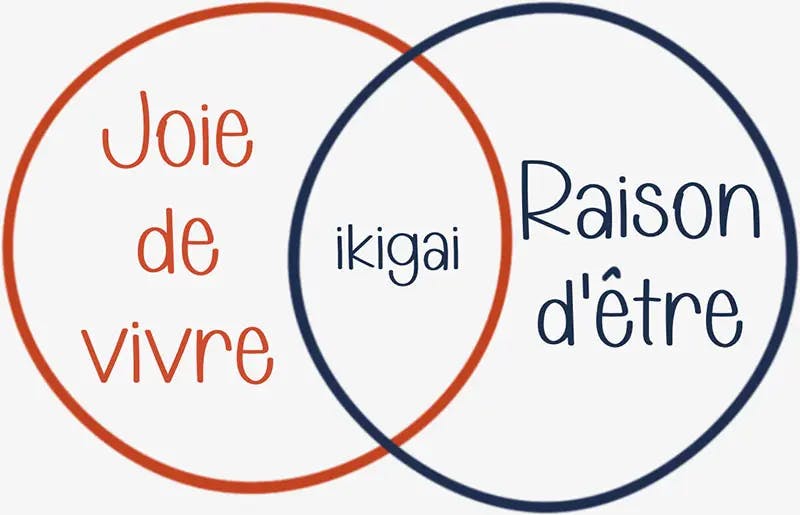 Deux cercles d'Ikigai joignant la joie de vivre avec la raison d'être