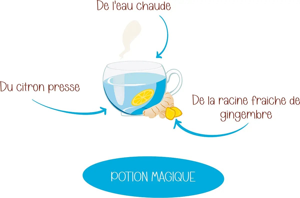 Illustration d'une tasse d'eau chaude avec du citron et de la racine fraiche de gingembre