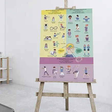 Photo d'une affiche des ancrages de Kinésiologie posée sur un chevalet